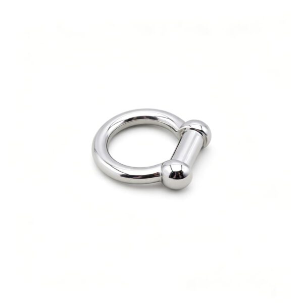 MYR1729 silver