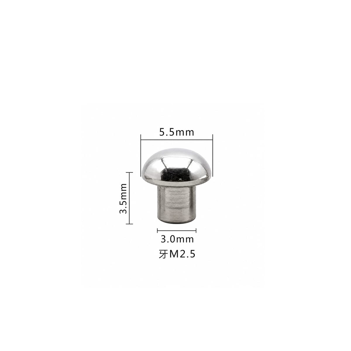 MYT5535 detail 01