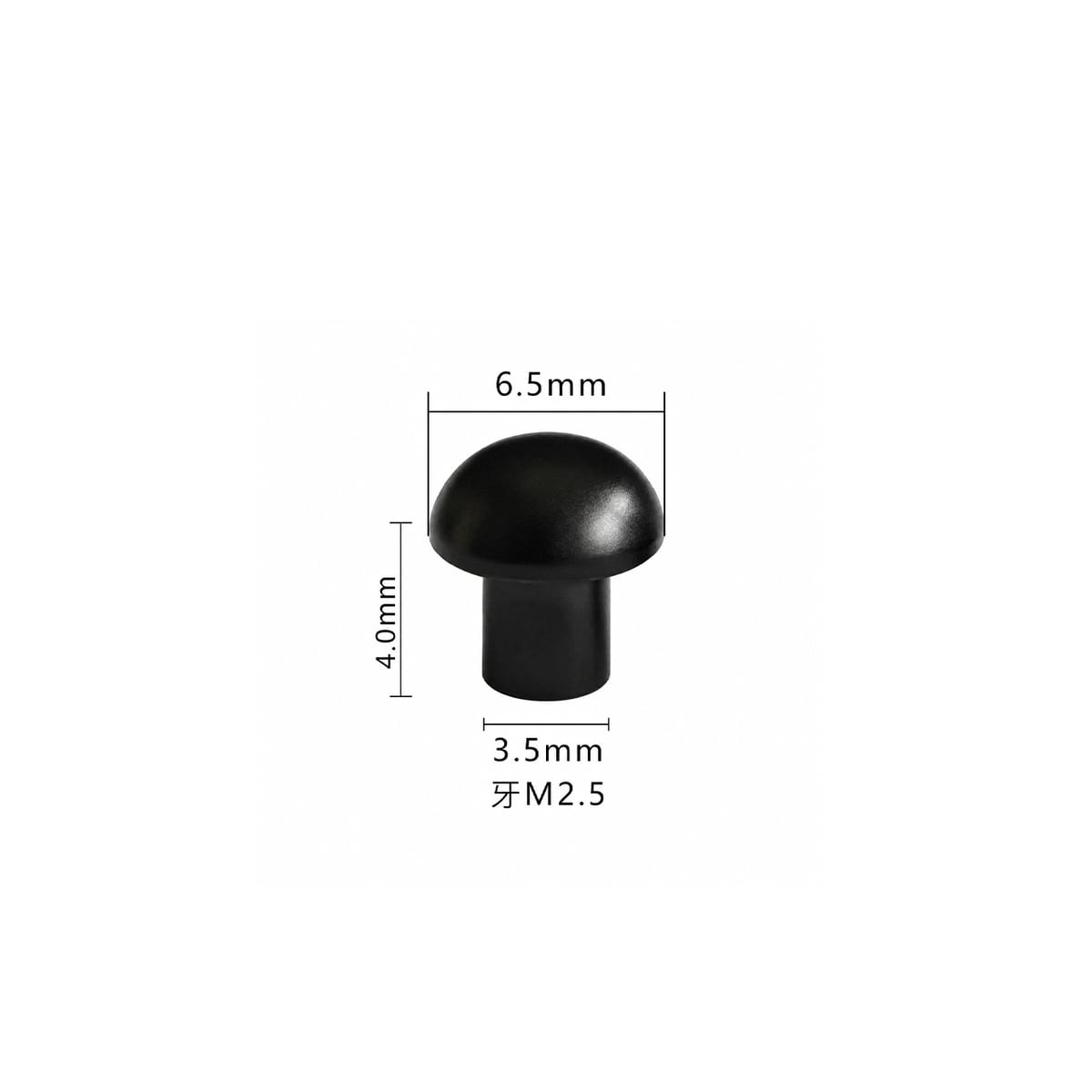 MYT6504 detail 02